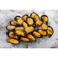 seafood frozen boiled mussel with shell